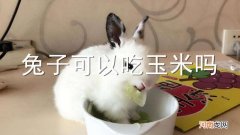 兔子可以吃玉米吗