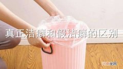 真正洁癖和假洁癖的区别