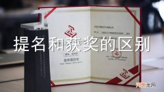 提名和获奖的区别