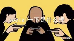 social一下是什么梗