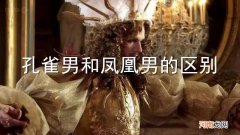 孔雀男和凤凰男的区别