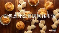面包是什么意思网络用语