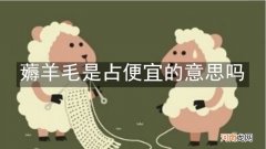 薅羊毛是占便宜的意思吗