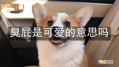 臭屁是可爱的意思吗