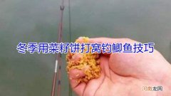 冬季用菜籽饼打窝钓鲫鱼技巧