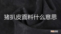 猪扒皮面料什么意思