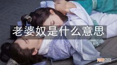 老婆奴是什么意思