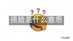 捂脸是什么意思