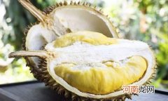 榴莲d101和d197的区别