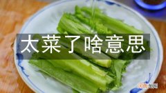 太菜了啥意思