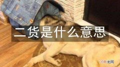 二货是什么意思