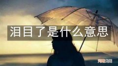 泪目了是什么意思