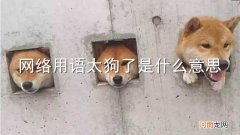 网络用语太狗了是什么意思