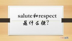 salute和respect是什么梗