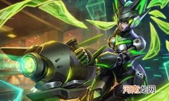 勇者皮肤和史诗皮肤的区别