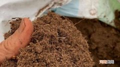 园土和椰糠混合会板结吗