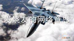 发烧友的网络意思