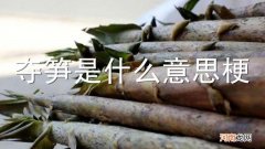 夺笋是什么意思梗