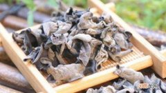 假木耳和真木耳的区别