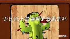 歪比巴卜是喜欢的意思是吗