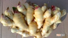 水洗姜和老姜的区别