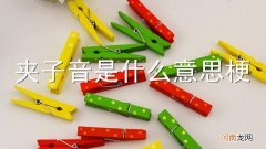 夹子音是什么意思梗