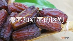 椰枣和红枣的区别