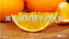 果冻橙和橘子的区别