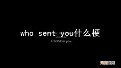 who sent you什么梗