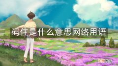码住是什么意思网络用语