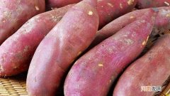 红薯和番薯的区别