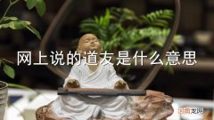 网上说的道友是什么意思