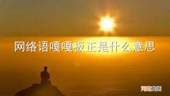 网络语嘎嘎板正是什么意思