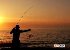 钓3至5斤的鲤鱼用多大钩