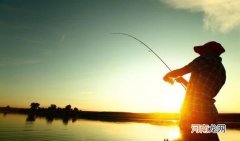 钢弹2号是什么饵料