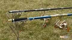 插地上的鱼竿是什么竿