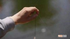 调三钓三抓什么口