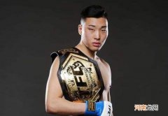 ufc数字赛和格斗之夜的区别