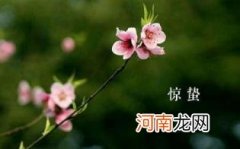 惊蛰多食锅巴有好处优质