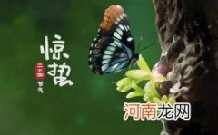 惊蛰过后天气变暖了吗优质