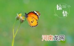 惊蛰节气的风俗活动优质