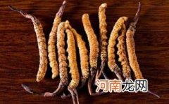 冬虫夏草保质期限过了还能用吗优质