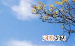 秋分之后还热吗优质