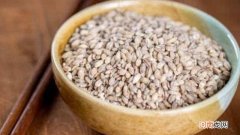 大麦仁和小麦仁的区别