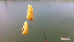 红薯钓鲤鱼的制作方法