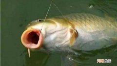 浮漂上123的数字代表什么?