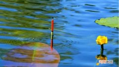 调平水是什么意思?