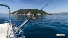 渔杆的硬调1.9或2.8是什么意思