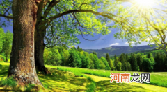 孩子必看 是上学苦还是上班苦