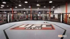 ufc数字赛是什么意思